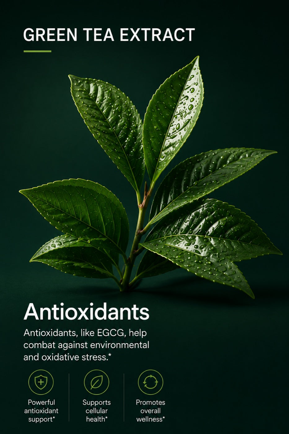 Green tea extract — antioxidants