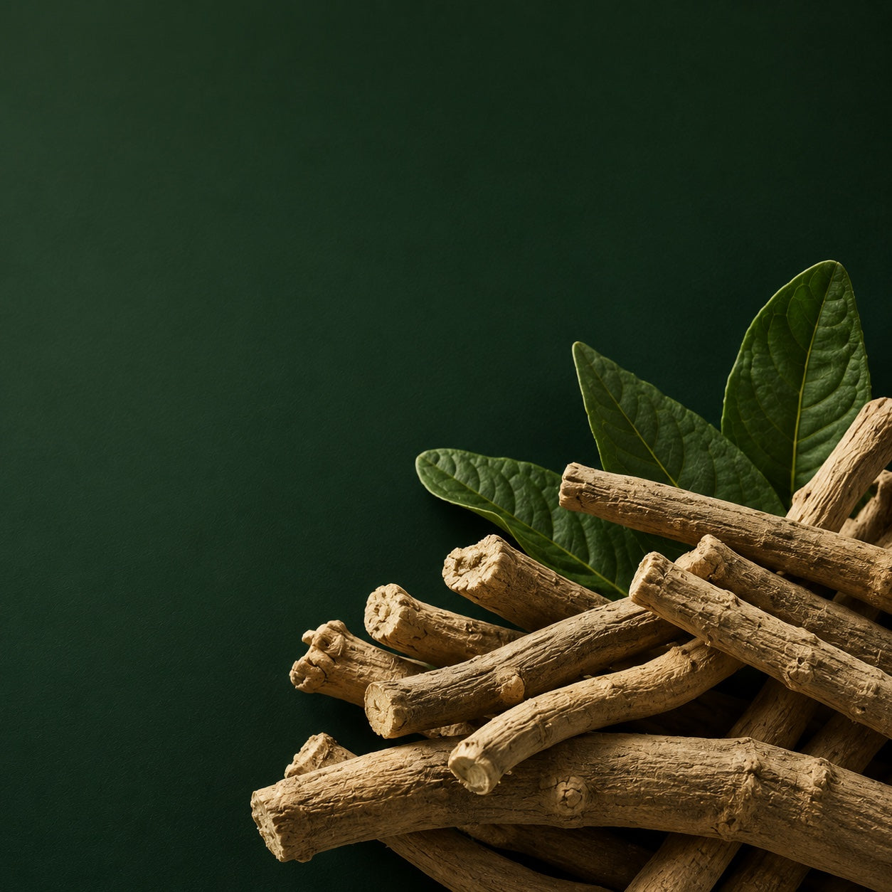 Adaptogens