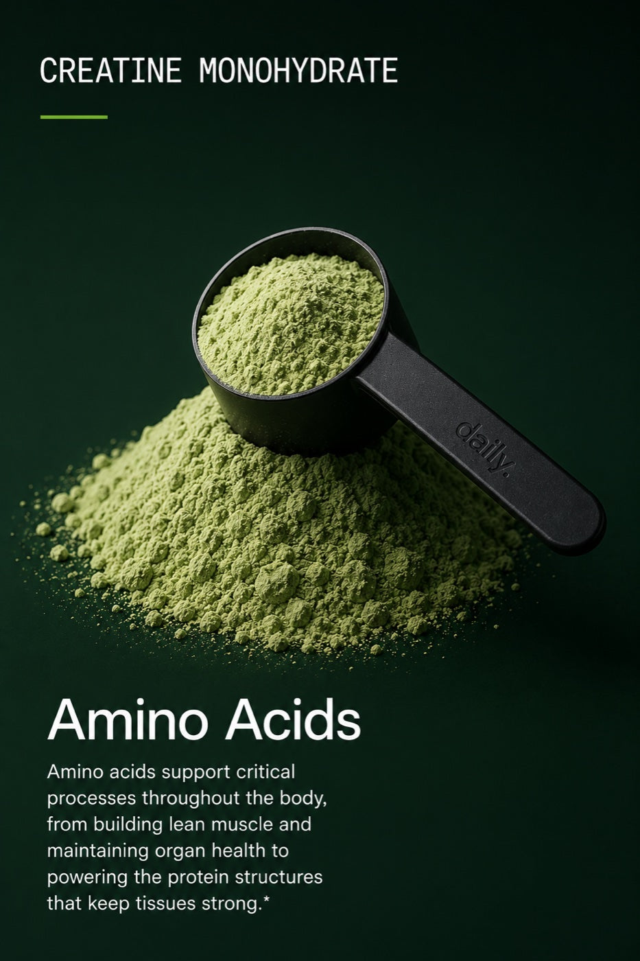 Creatine monohydrate — amino acids