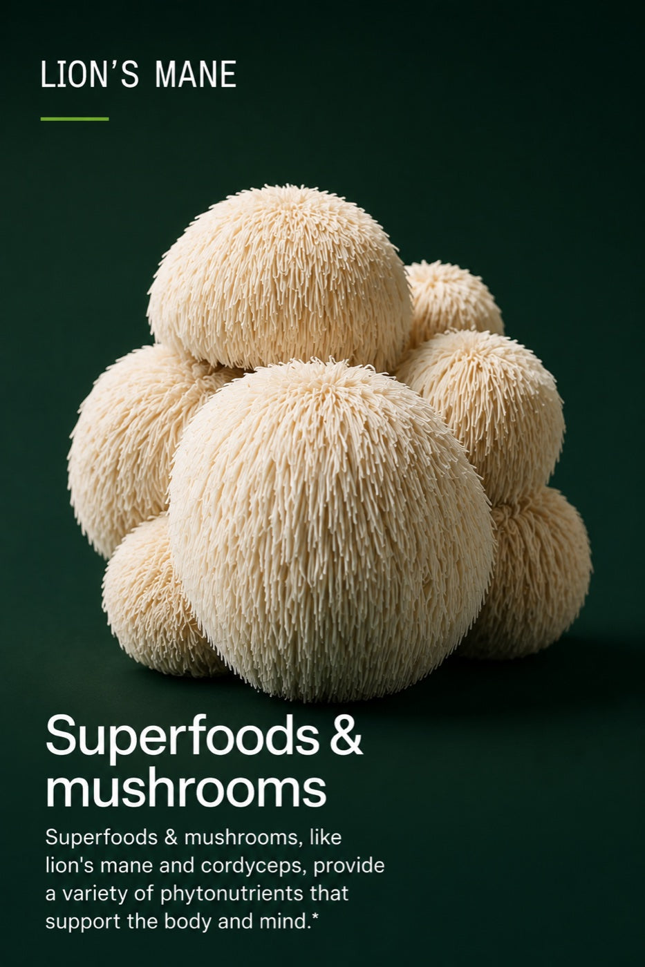 Lion's mane — superfoods and mushrooms